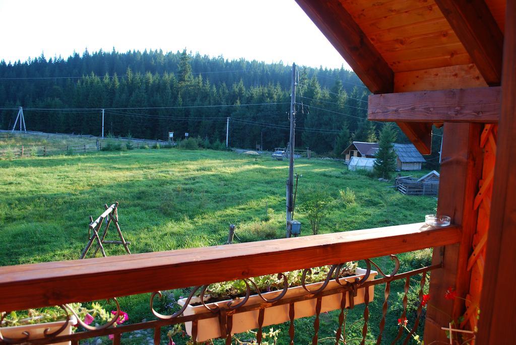 Cottage 12 Months Ворохта Экстерьер фото